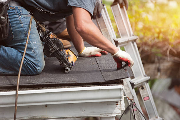 Best Roof Maintenance Services  in Winnemucca, NV
